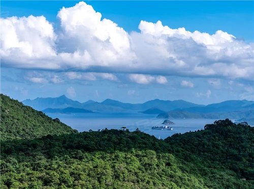 深业山水东城二期已开盘 学府旁国企现房